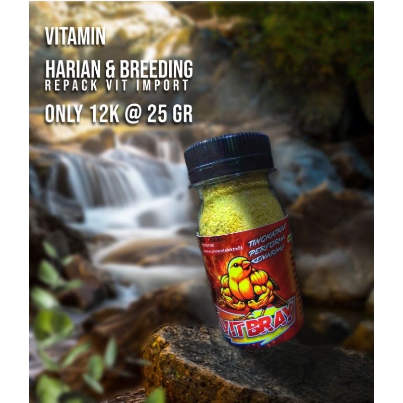 vitamin harian ternak kenari