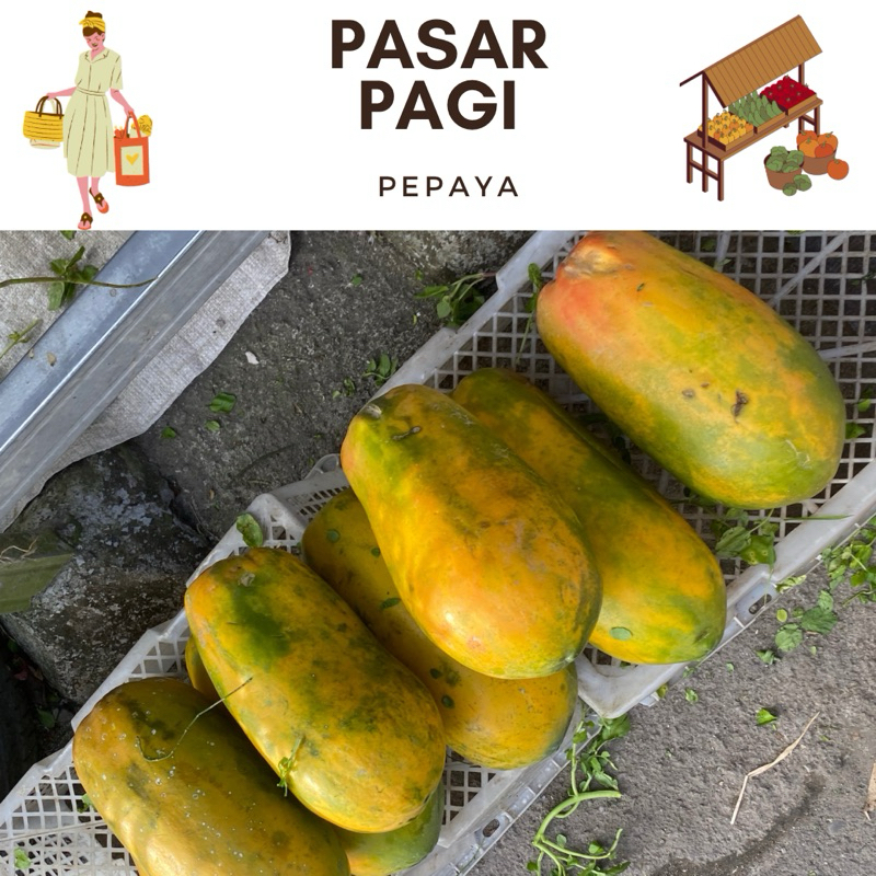 

Buah Pepaya segar / kg