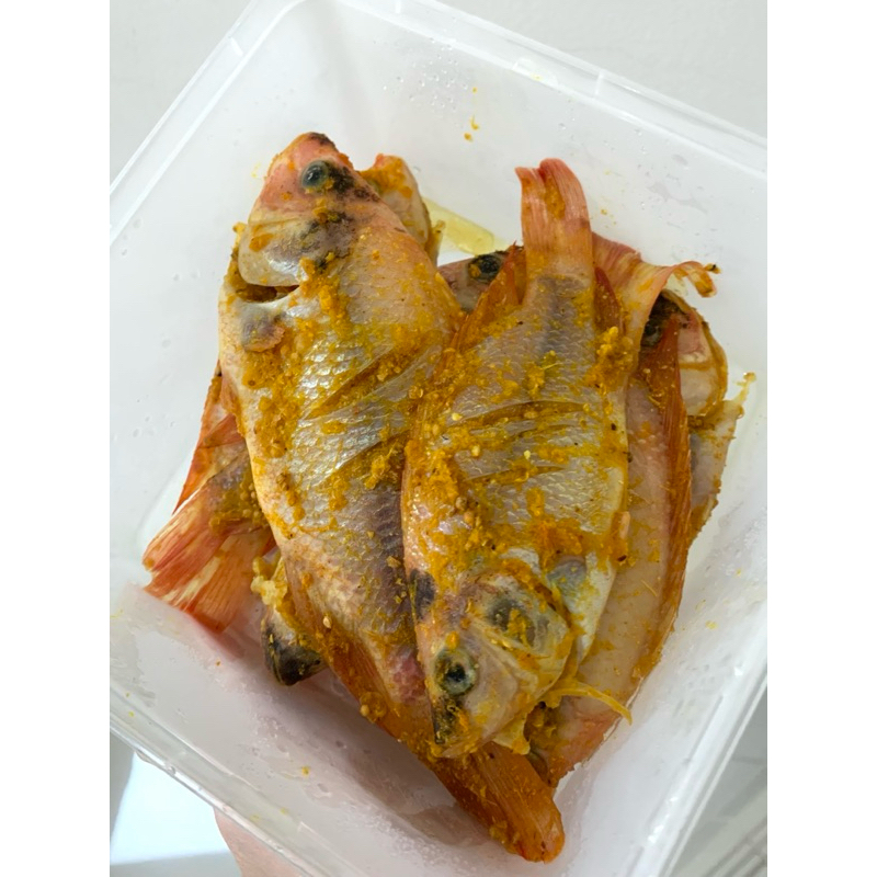 

Ikan Nila Bumbu Kuning 500g - Siap Goreng