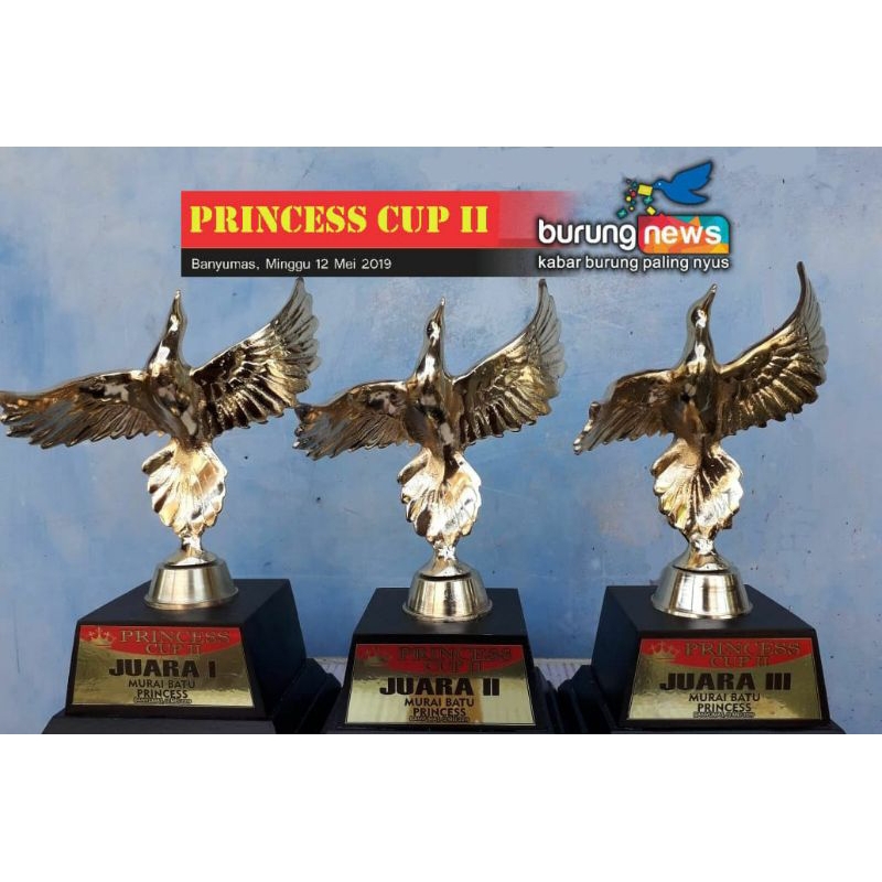 Piala burung kacer terbang per pcs
