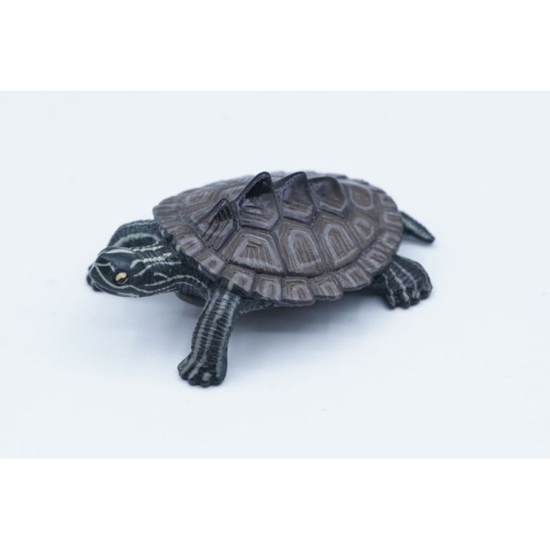 Black Knobbed Map Turtle Tortoise Kura Pajangan Koleksi Figure Binatang Animal Collection