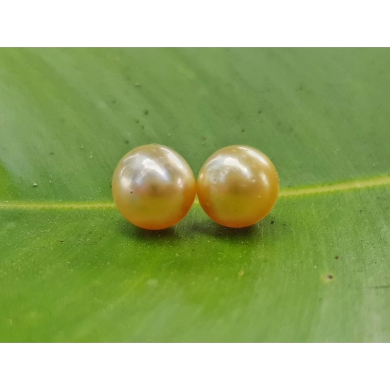 Mutiara air laut grade AAA