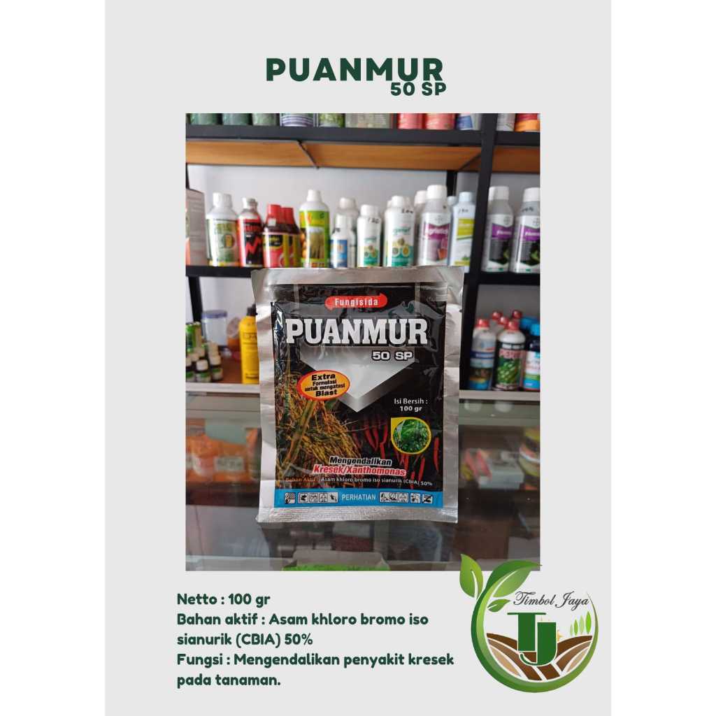 PUANMUR 50 SP 100 GR