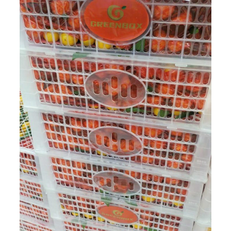 

jeruk santang masui keranjang
