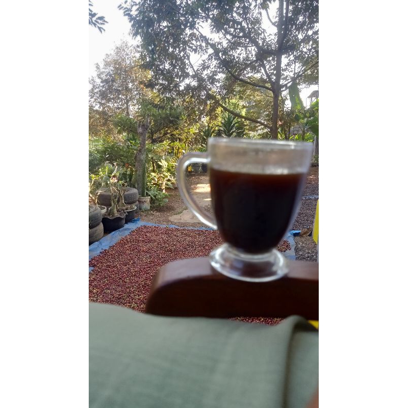

KOPI CANGKIR ROBUSTA (100gr)