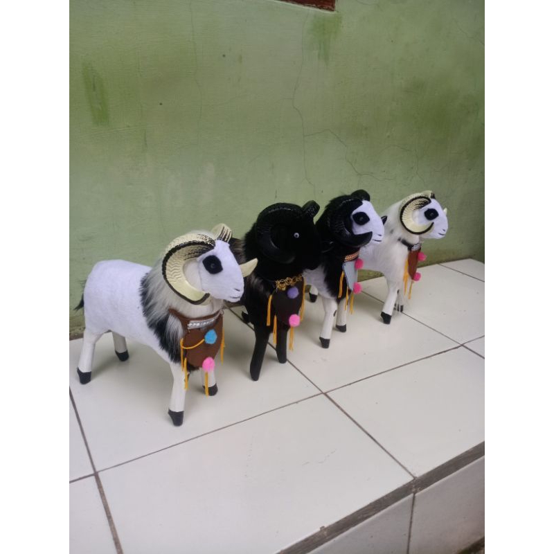 koleksi domba miniatur