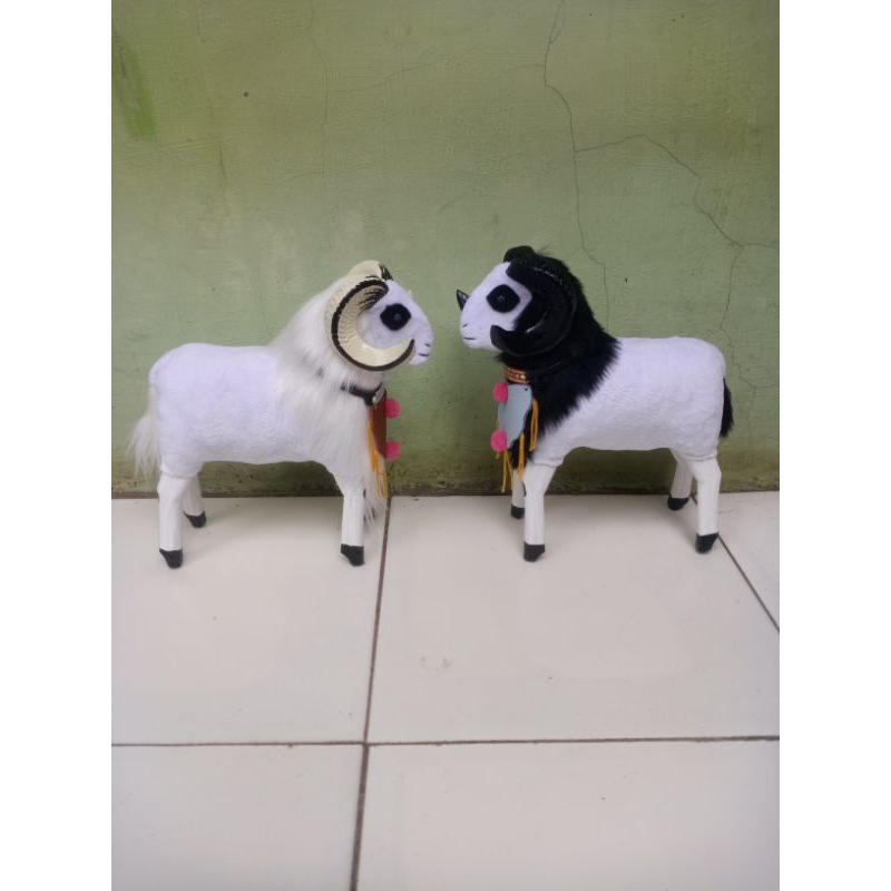 koleksi domba miniatur