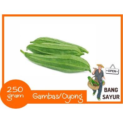 

KIRIM INSTAN Gambas/Oyong 250 gram