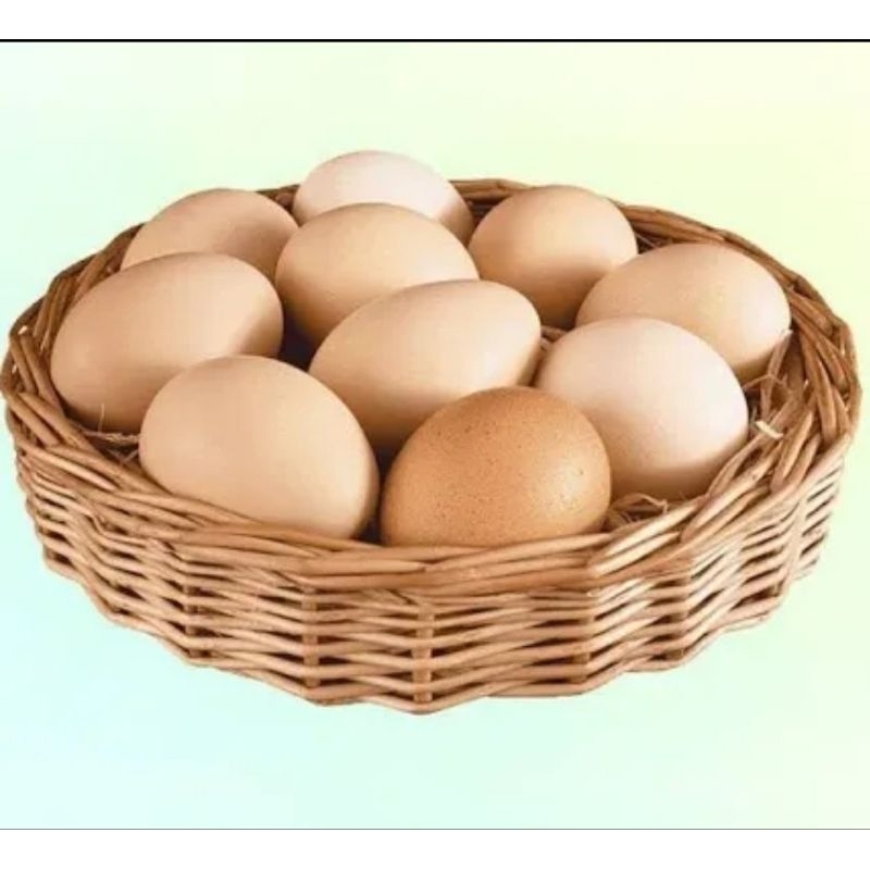 

Telor ayam negeri istimewa omega 1000 gr