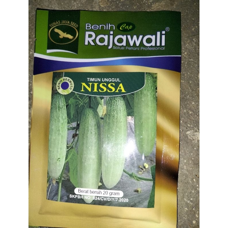BENIH RAJAWALI TIMUN NISSA 20gr