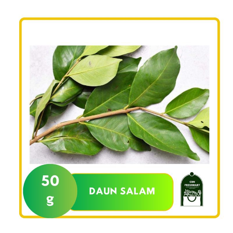 

DAUN SALAM