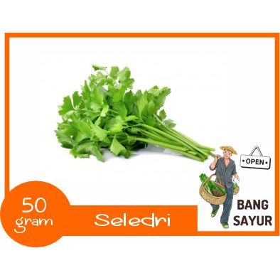 

KIRIM INSTAN Seledri 50 gram