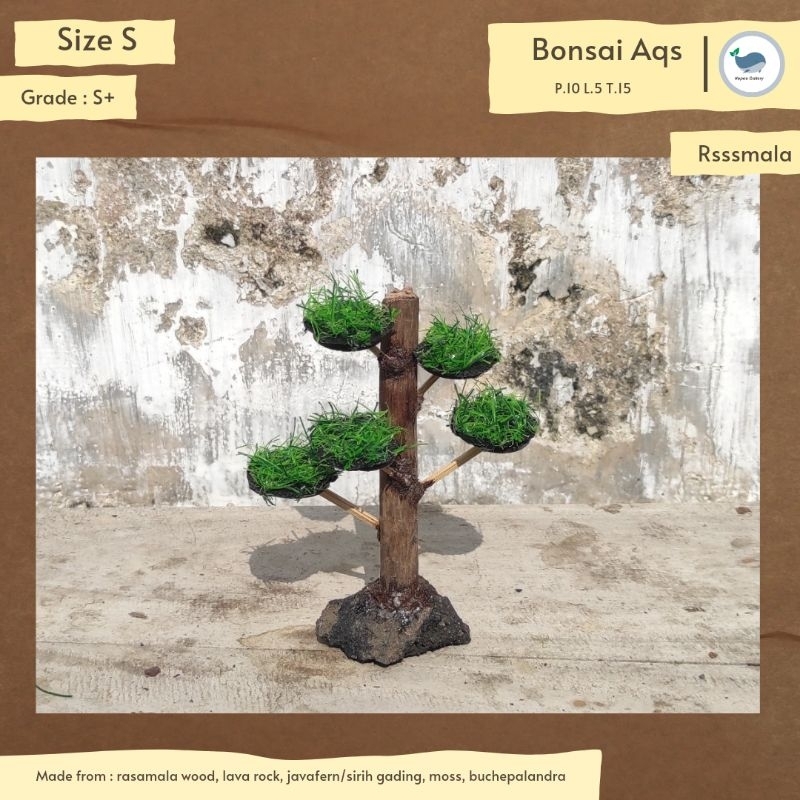 BONSAI MINI POHON |Hiasan Akuarium |Aquascape |Aquatic