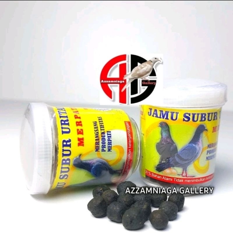 JAMU SUBUR URITAN MERPATI  JAMU BURUNG MERPATI