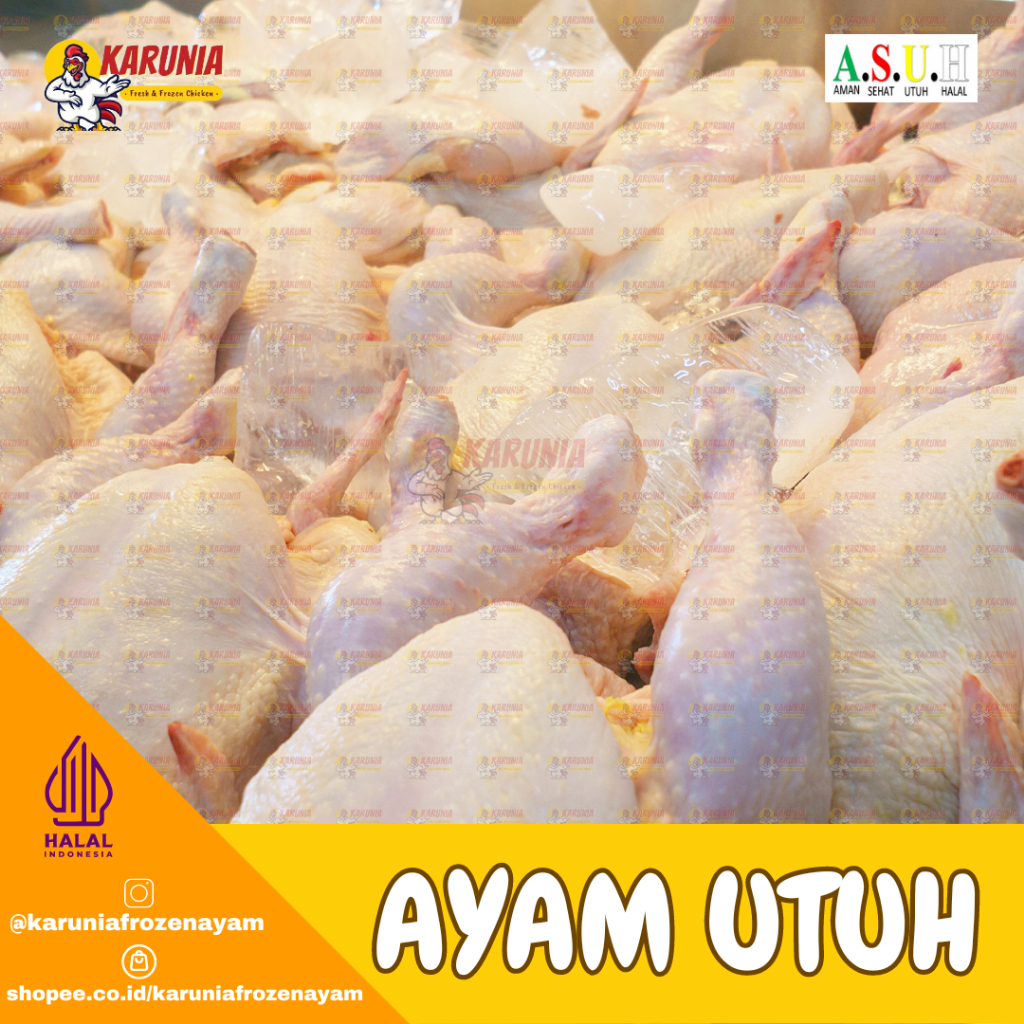 

Ayam Boiler Karkas 500 - 900gr