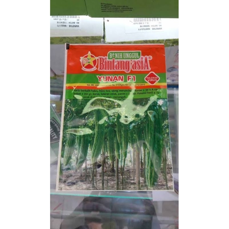 

Benih Paria Pare Yunan F1 Isi 10 Gram Kadaluarsa 2025 Perawatan Mudah Tahan Virus Gemini Puret Kriting Daun Layu Fusarium dan Produksi Tinggi Original 100 %