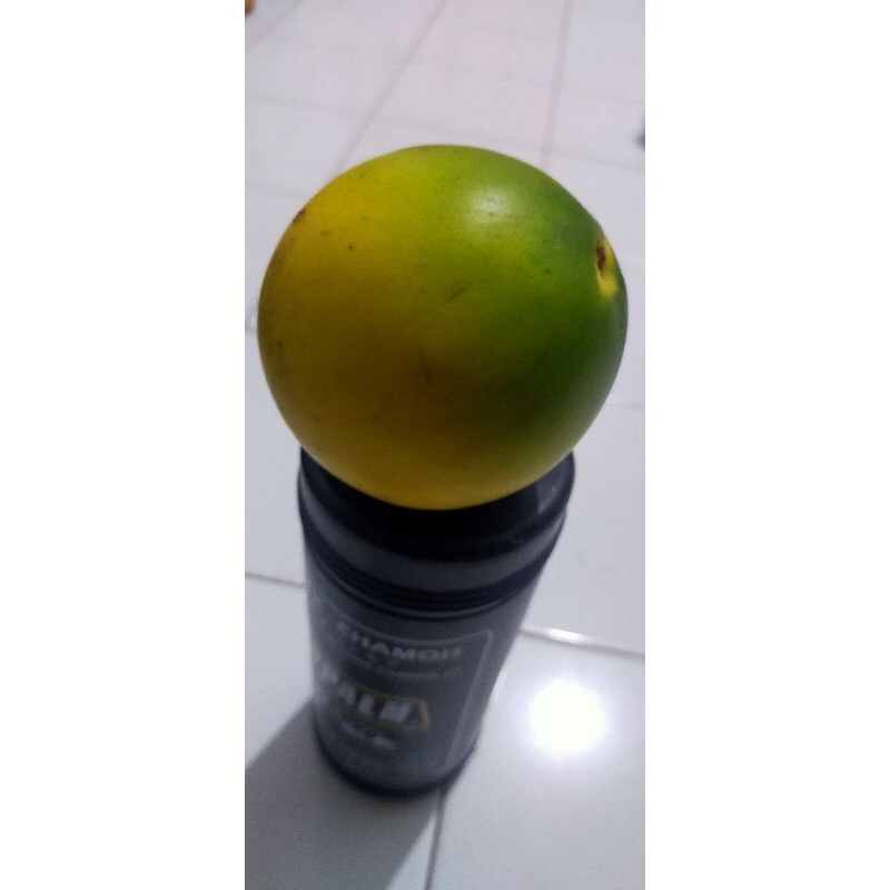 

buah abiu 1/2 kg sehat organik