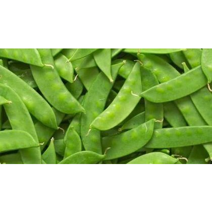 

Kacang Kapri 100 gram KIRIM INSTANT