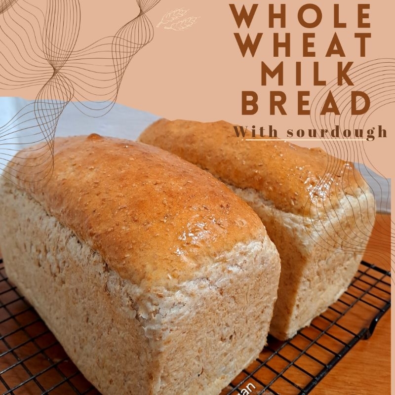 

Whole Wheat Milk Bread Sourdough. Roti Gandum (Hybrid)