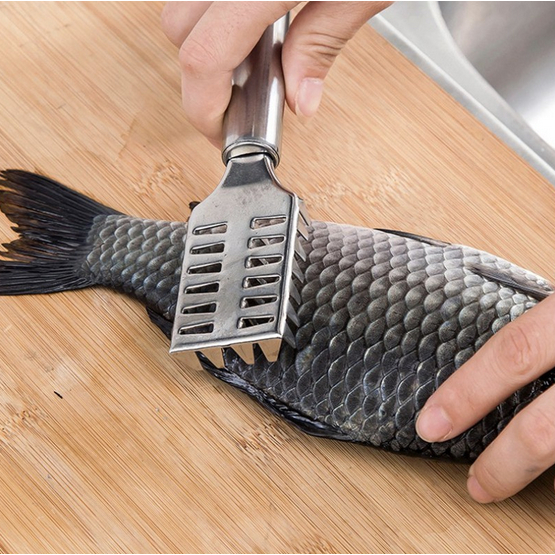 Alat Pengupas Sisik Ikan Pembersih Sisik Ikan Stainless Steel Kerokan Sisik Ikan