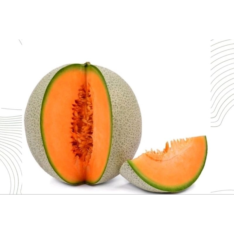 

BUAH MELON ROCK ATAU MELON ORENS / JAMIN SEGAR