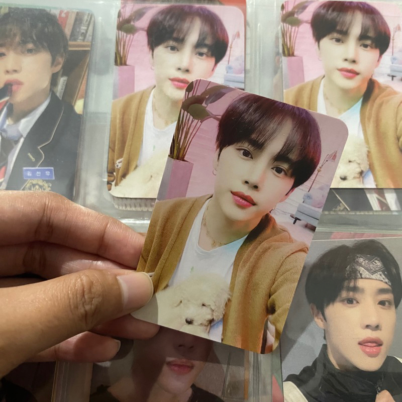 THE BOYZ SUNWOO PHOTOCARD WITHDRAMA WD3 SUNWOO GUGUK SUNWOO PUPPY