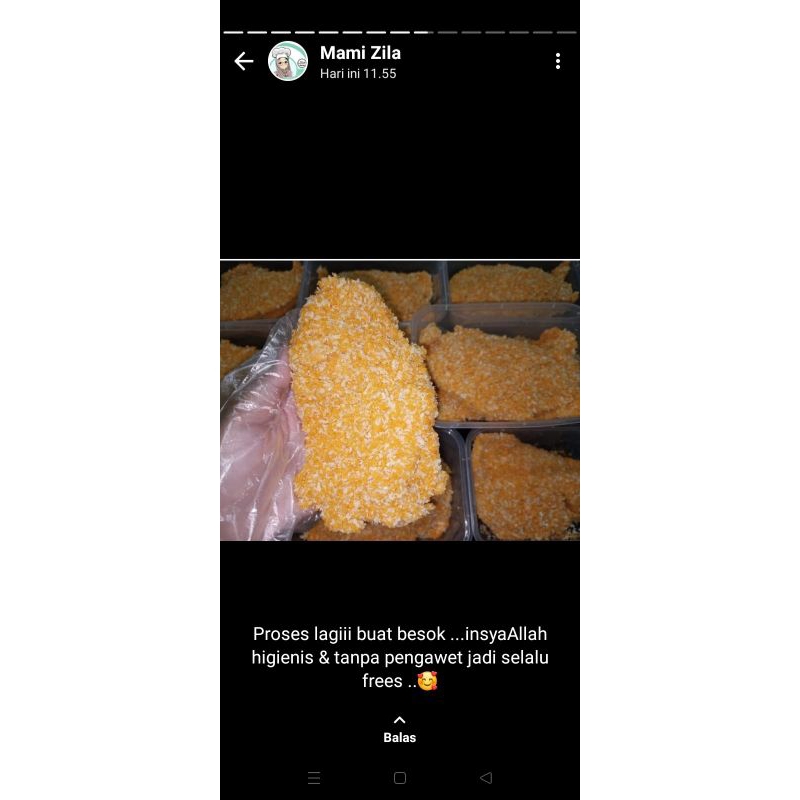 

CHICKEN KATSU FROZEN