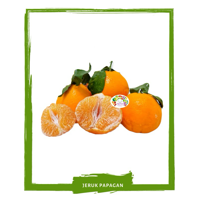 

Jeruk Papagan / Buah Buahan Segar On Mallahrizwa