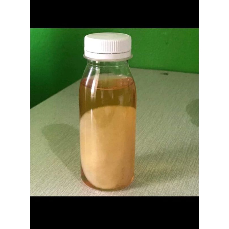 

scuby kombucha sejuta manfaat kesehatan