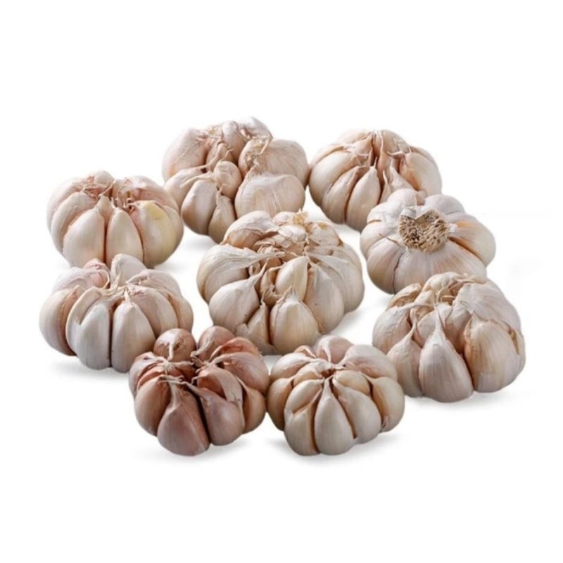 

Bawang Putih Honam/Banci/Biasa 1Kg