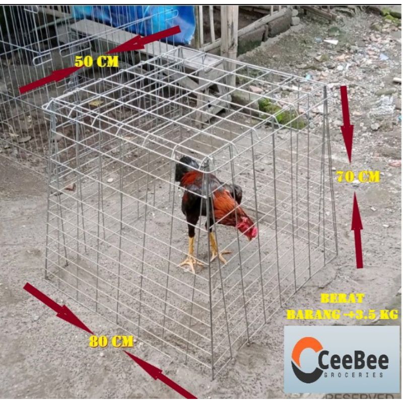Kurungan Ayam Jago Piramida Galvanis