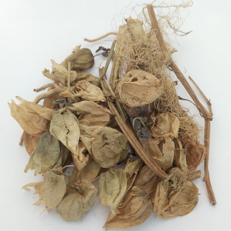 

CIPLUKAN KERING ORIGINAL 1000gr