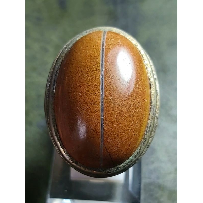 Jasper Ati Ayam Kendit