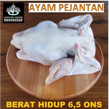 

Ayam pejantan ukuran BERAT HIDUP 6.5 ons hidup
