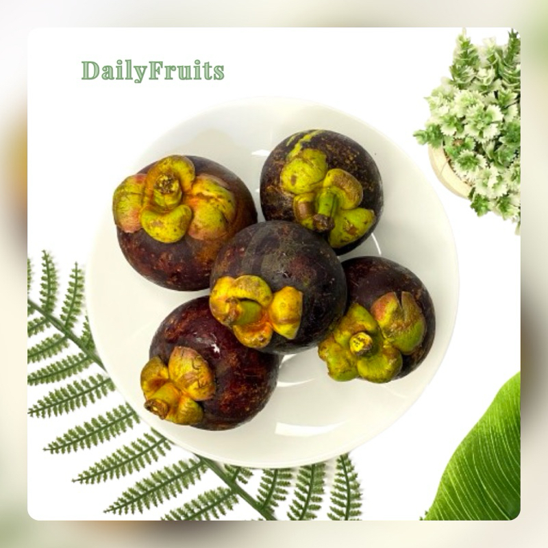 

Manggis Fresh 1 Kg | DailyFruits