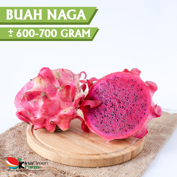 

Inagreen Farm Bandung Buah Naga