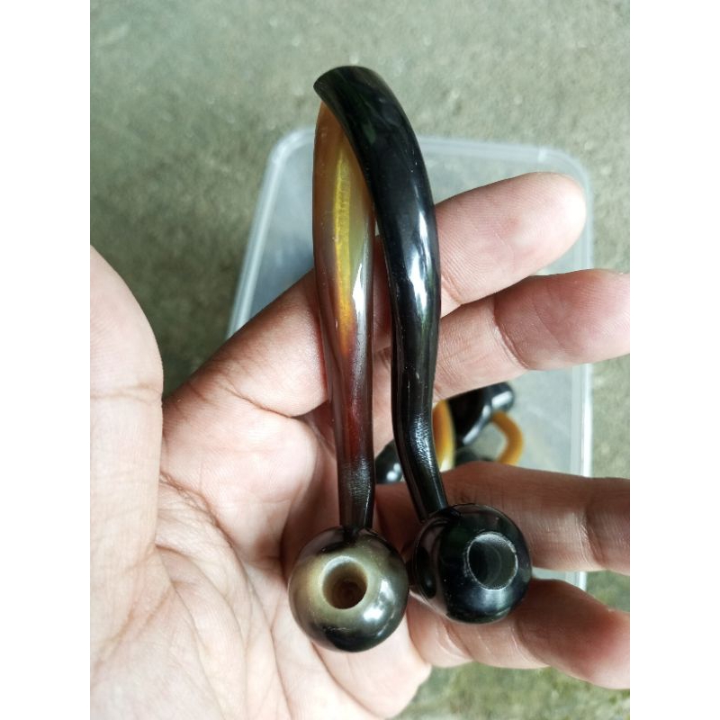 Pipa Tanduk