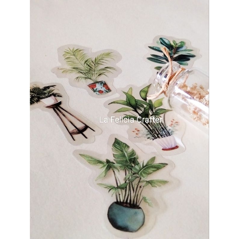 

La Felicia Stiker PET Carefree Tanaman Daun Plants Scrapbook Jurnal