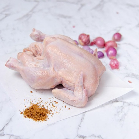 

WUH918 GROSIR ayam broiler frozen 6 gramayam 67ayam potongayam murah