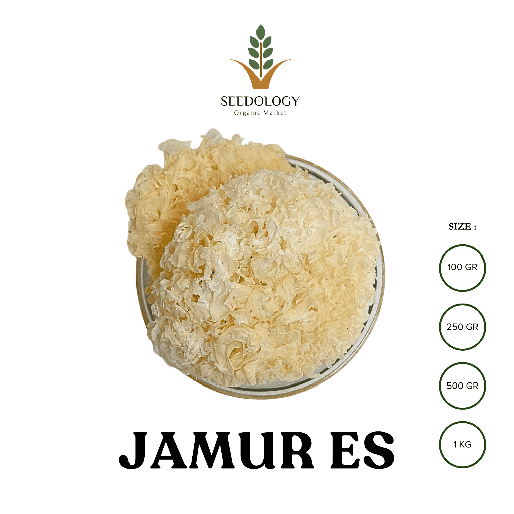 

Jamur Es 100gr - Snow White Fungus (Bai Mu Er) / Jamur Salju / Jamur Putih