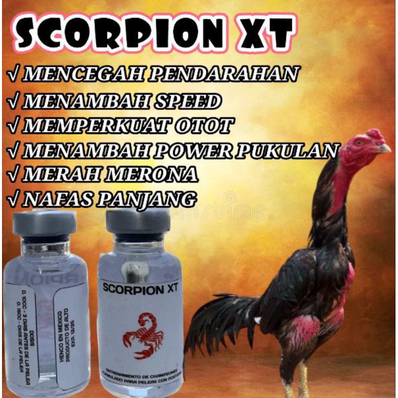 Doping Ayam Terbaik Scorpion xt