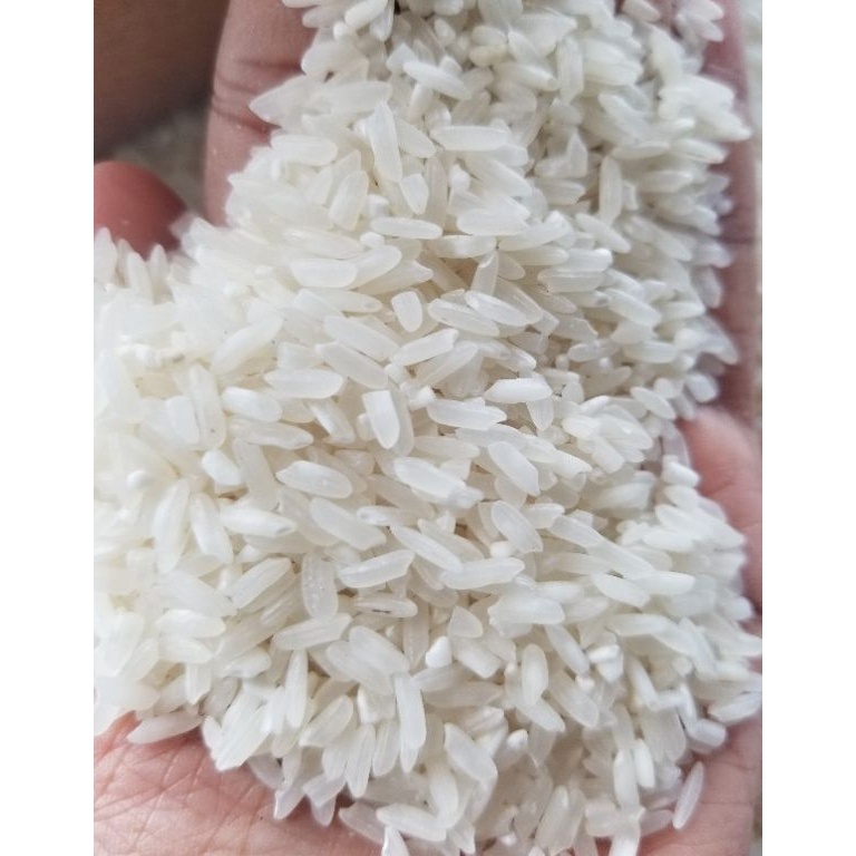 

QAA918 FASH SALE Beras eceran kiloan sedang medium dan premium