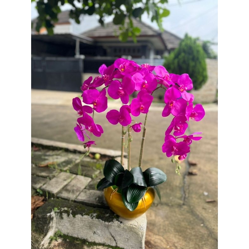 BUNGA ANGGREK LATEX PREMIUM CABANG 3 VAS GOLD