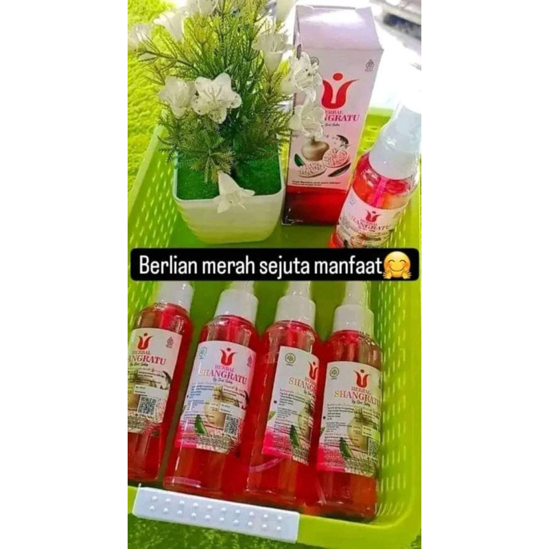 

HERBAL SHANGRATU SEJUTA MANFAAT 1000% Aman