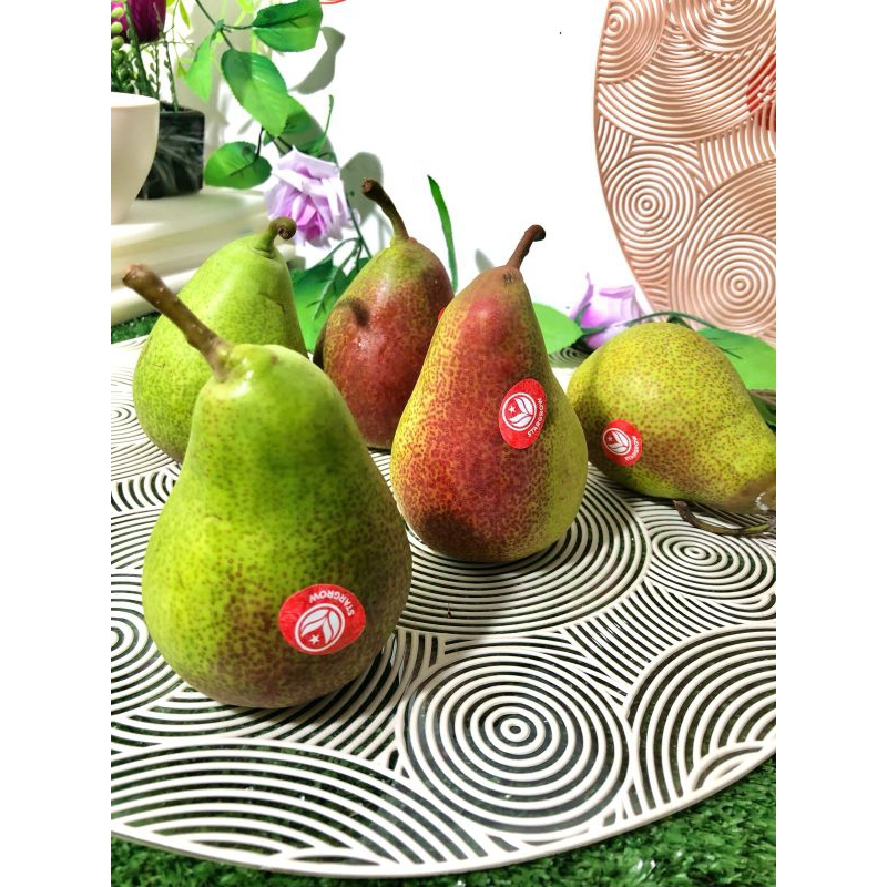 

PIR/PEAR CELINA