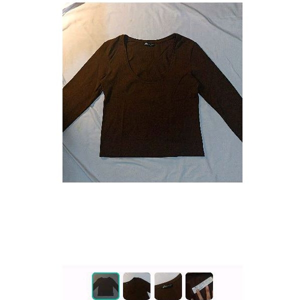 ZARA Crop Top Long Sleeve in Brown