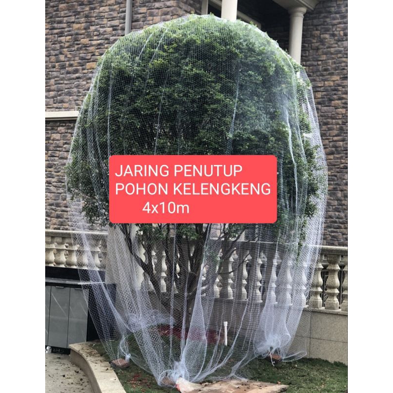 Jaring penutup pohon kelengkeng dari hama kelelawar 4mx10m jaring kelengkeng jaring pohon buah kelen