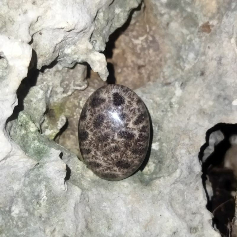 Batu akik teratai putih