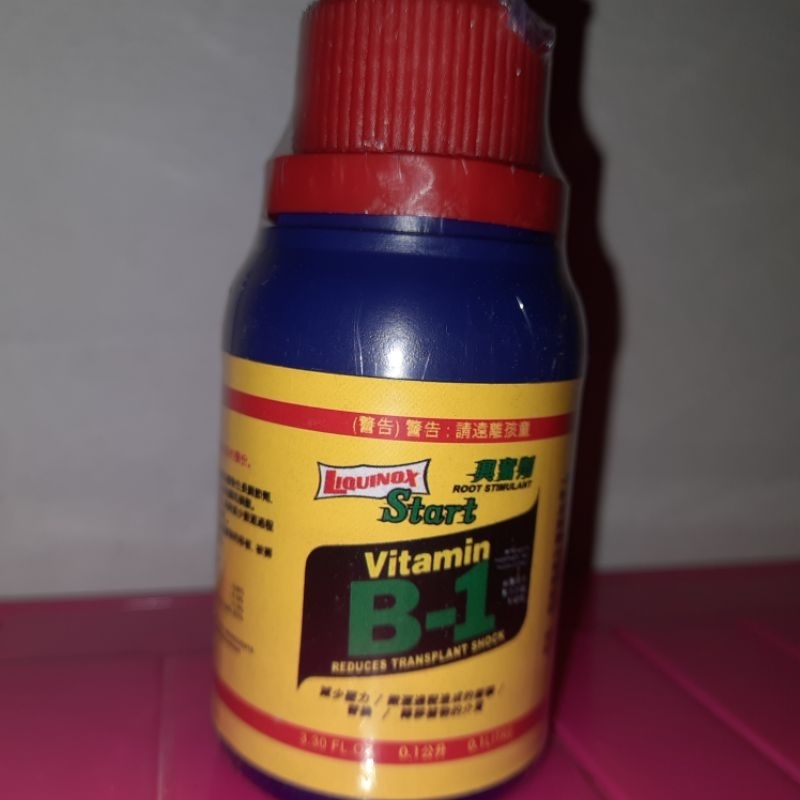 B1 pupuk Vitamin Liquinox start