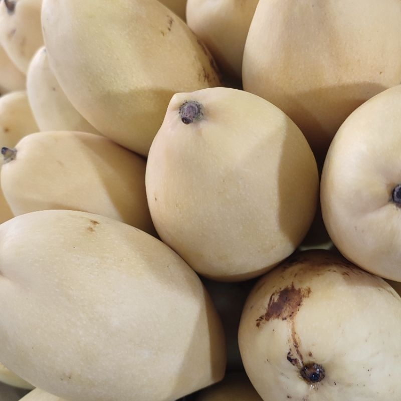 

MANGGA THAILAND LOK MAY/ MANGGA MANIS SUPER/ MANGO THAILAND